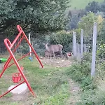 U Jawora -agroturystyka Ferienpark *