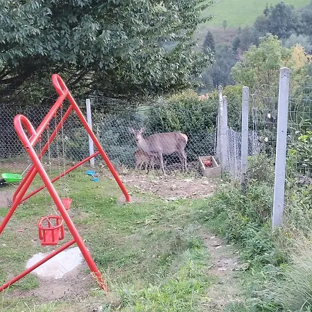 U Jawora -agroturystyka Parco vacanze *